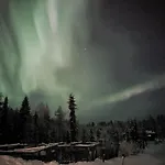 Sled-dog