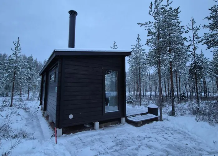 Sled-dog 罗瓦涅米