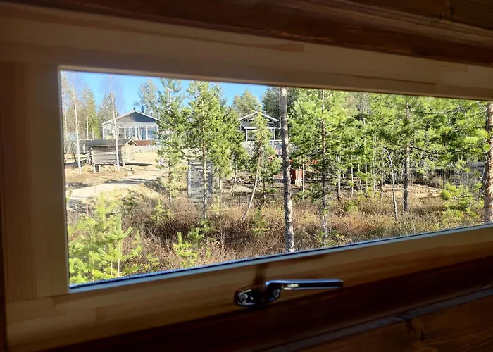 Sled-dog * Rovaniemi