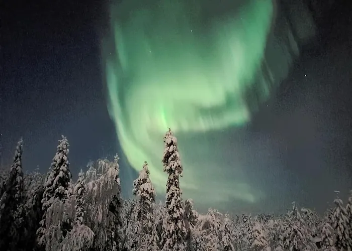 Sled-dog Chalet Rovaniemi